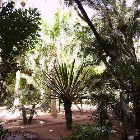 Appart Avec Vue Jardin/Majorelle มาร์ราเกช ภายนอก รูปภาพ