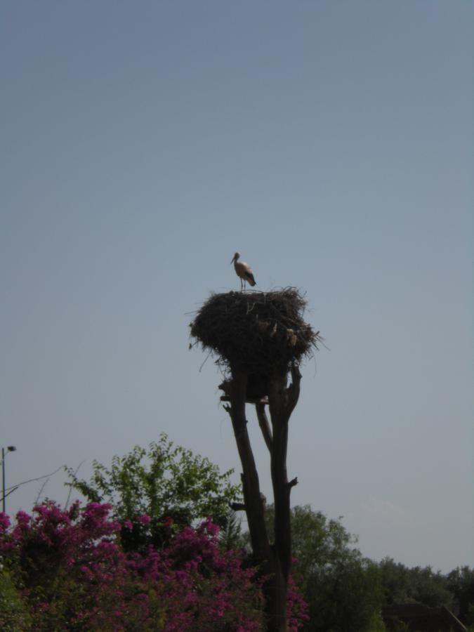 Appart Avec Vue Jardin/Majorelle มาร์ราเกช ภายนอก รูปภาพ