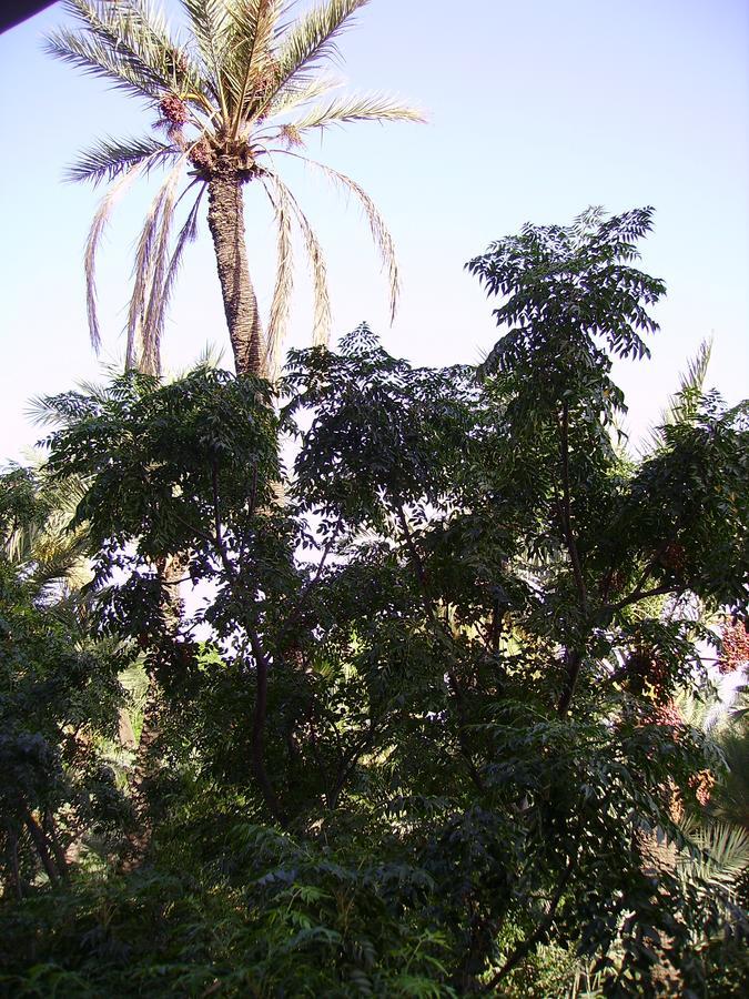 Appart Avec Vue Jardin/Majorelle มาร์ราเกช ภายนอก รูปภาพ