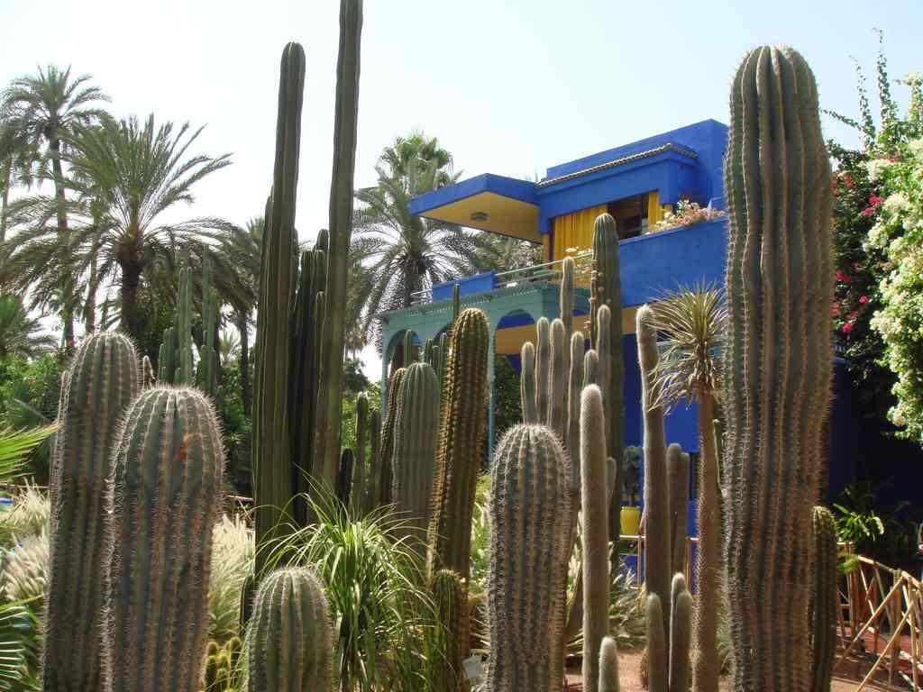 Appart Avec Vue Jardin/Majorelle มาร์ราเกช ภายนอก รูปภาพ