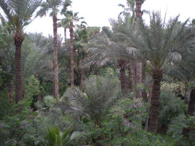 Appart Avec Vue Jardin/Majorelle มาร์ราเกช ภายนอก รูปภาพ