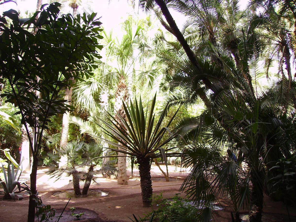 Appart Avec Vue Jardin/Majorelle มาร์ราเกช ภายนอก รูปภาพ